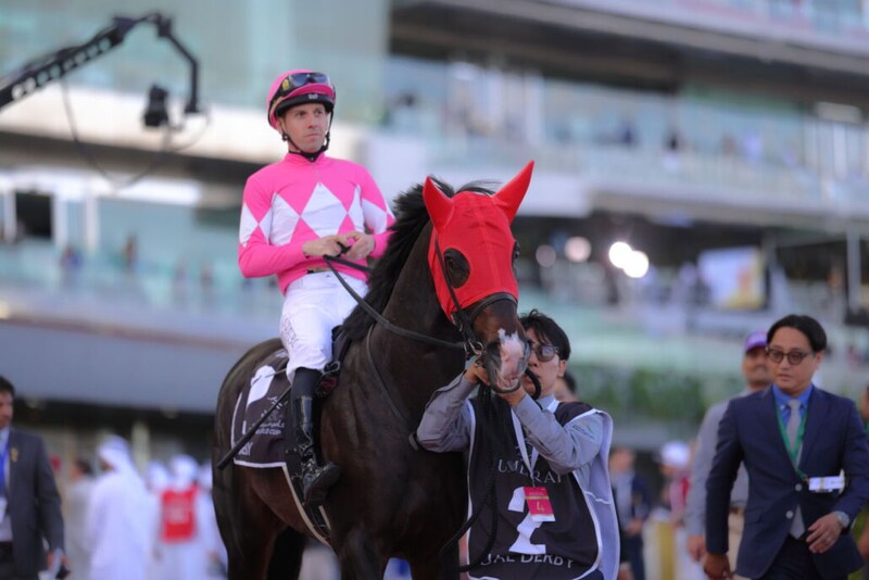 【UAEダービー】ワンダーディーンV…高柳師「もちろん行きたい」ケンタッキーへ直行示唆
