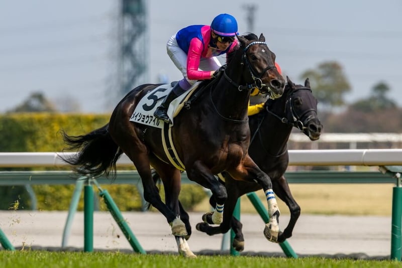 【中京6R】武豊メイショウアイルが抜け出す