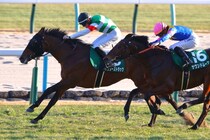 【チャーチルダウンズカップ登録馬】シンザン記念V、サンダーストラックなど15頭