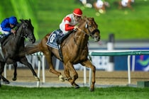 【大阪杯】ダノンデサイルは520kg…出走馬の調教後の馬体重