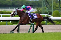 武豊騎手 今週の騎乗馬…大阪杯はメイショウタバルとのコンビ