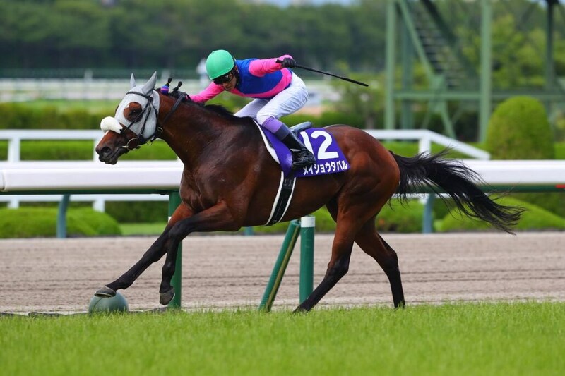 武豊騎手 今週の騎乗馬…大阪杯はメイショウタバルとのコンビ