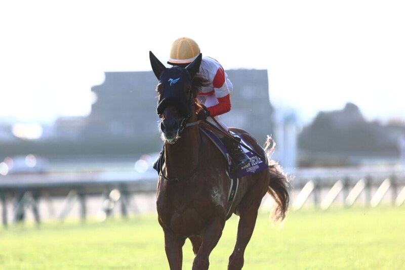 【大阪杯】ダノンデサイルは3枠4番、クロワデュノールは大外へ