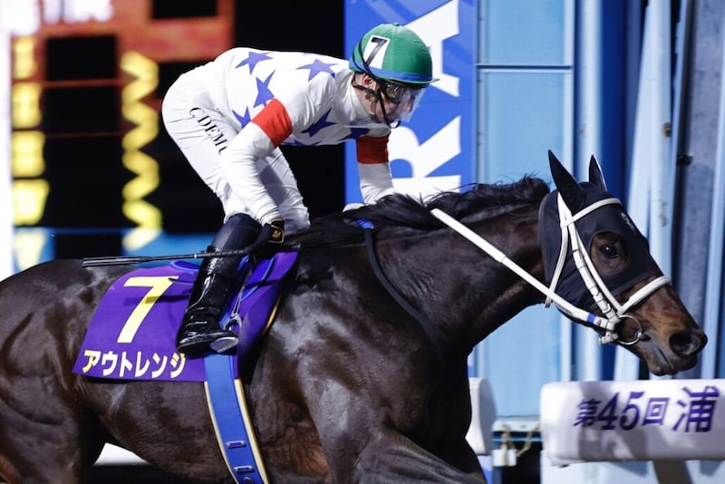 【川崎記念】アウトレンジなどJRA馬は6頭