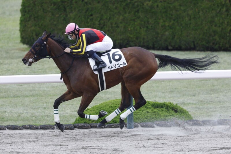 【阪神1R】ジャスティファイ産駒 ペトリコールが快勝