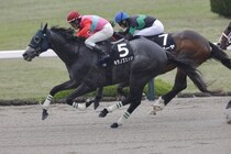 【ポラリスS】キタノズエッジがオープン2勝目…武豊ヤマニンウルスは12着