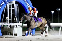 交流重賞で活躍！ライオットガールが引退