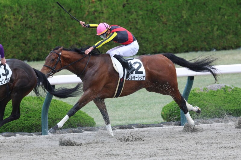 【阪神5R】シルバーレシオが人気に応えて2勝目