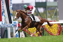 【阪神4R】1億6000万円の良血馬・カモンメーンが初勝利