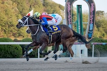 【佐賀・ル・プランタン賞】サキドリトッケンが7勝目！接戦を制し重賞制覇、吉原「キレ勝負では負けないと思っていた」