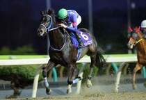 【ネクストスター北日本】ゴッドバロックが5馬身差圧勝…阿部龍「開幕を飾れて嬉しい」
