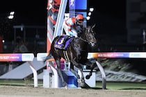 【川崎記念】カゼノランナーが交流G1初制覇…アウトレンジは3着