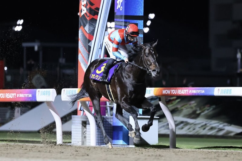 【川崎記念】カゼノランナーが交流G1初制覇…アウトレンジは3着