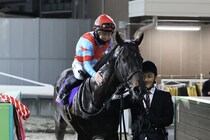 【川崎記念】西村淳「能力を信じていました」JRAカゼノランナーが交流G1初制覇