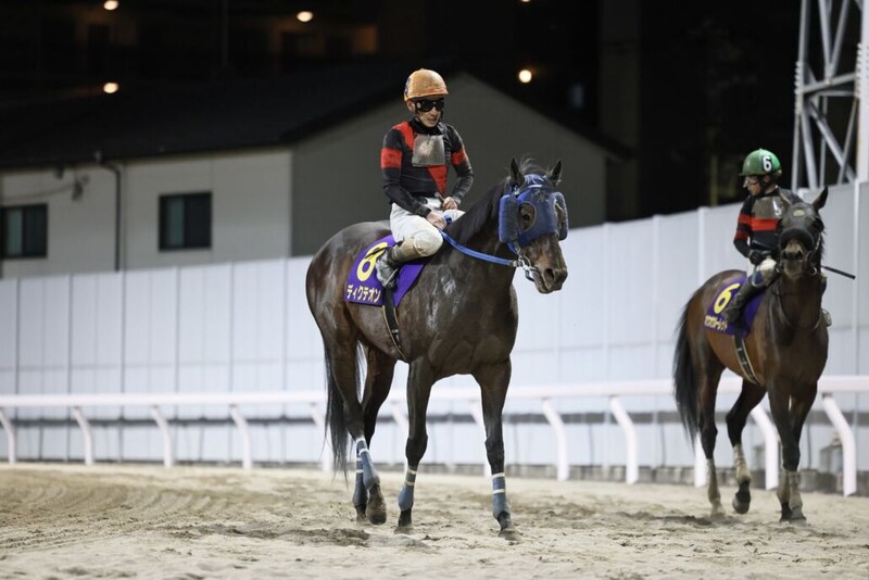 【川崎記念】地方年度代表馬・ディクテオンは5着まで…矢野「馬場乾いていた方がいい」