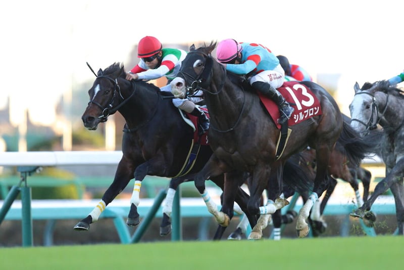 ディープインパクト産駒・シュヴァリエローズが引退