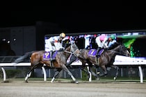 【川崎記念】1番人気アウトレンジは3着まで…坂井瑠「力は出してくれた」レース後ジョッキーコメント