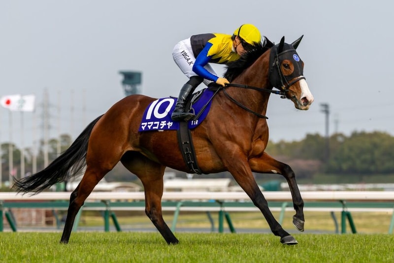 【東京スプリント】ママコチャなどJRA馬は5頭