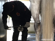 【装蹄師・西内荘コラム】ラヴァンダ、精神面の成長で大人に