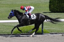 【阪神3R】単勝1.1倍ジュンドラドラが圧勝
