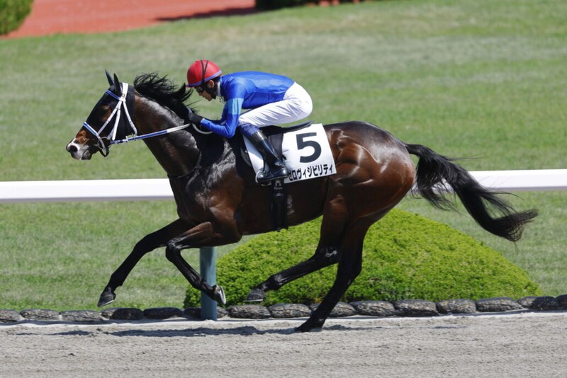 【阪神2R】ゼロヴィジビリティが5馬身差圧勝