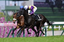 【明石特別】超良血アロンズロッド、アルマデオロは敗れる
