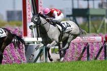 【阪神6R】マテラスカイ産駒・デアヴェローチェが人気に応える
