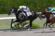 【阪神5R】初ダート・チュウワカーネギーがしぶとく粘って2勝目