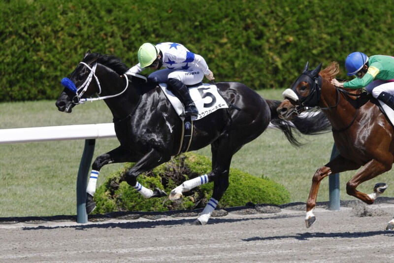 【阪神5R】初ダート・チュウワカーネギーがしぶとく粘って2勝目