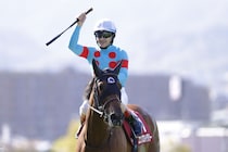 【阪神牝馬S】ルメール「2000mまではいける」エンブロイダリーが今季初戦を快勝