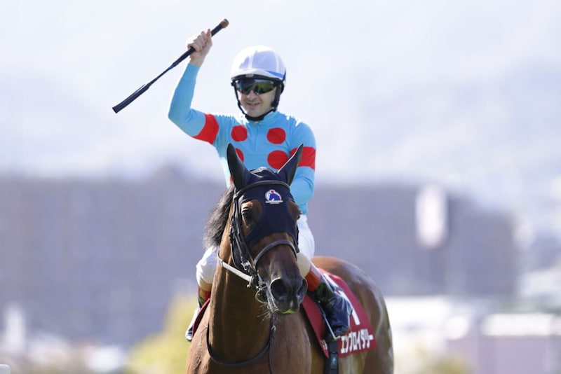 【阪神牝馬S】ルメール「2000mまではいける」エンブロイダリーが今季初戦を快勝