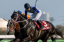 【ニュージーランドT】原「ソラを使う余裕あった」レザベーションが重賞初制覇