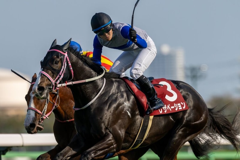 【ニュージーランドT】原「ソラを使う余裕あった」レザベーションが重賞初制覇