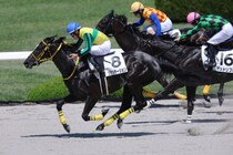 【阪神5R】8番人気の伏兵・リサシテーションが連勝