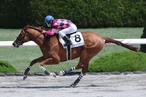 【阪神2R】スマートグロワールが人気に応える…3馬身半差完勝