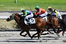 【中山6R】ヤマカツエース産駒・ストロングエースが2勝目