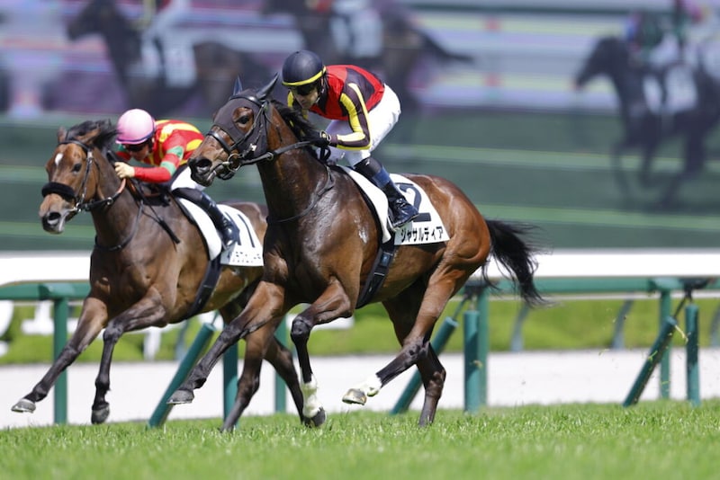 【阪神7R】良血ジャサルディアが断然の支持に応える