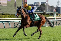 【東京スプリント】ママコチャは7枠13番