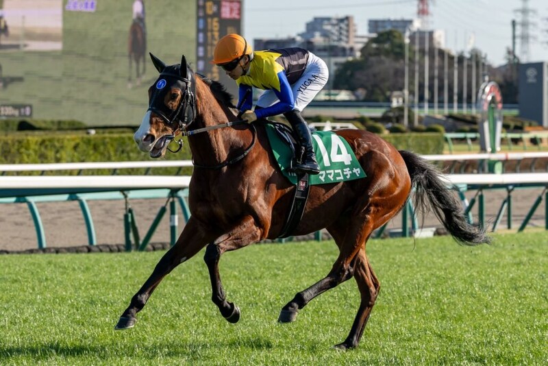 【東京スプリント】ママコチャは7枠13番