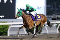 【高知・二十四万石賞】プリフロオールインが圧巻逃走V…4馬身差で連覇、完全復活