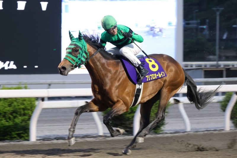 【高知・二十四万石賞】プリフロオールインが圧巻逃走V…4馬身差で連覇、完全復活