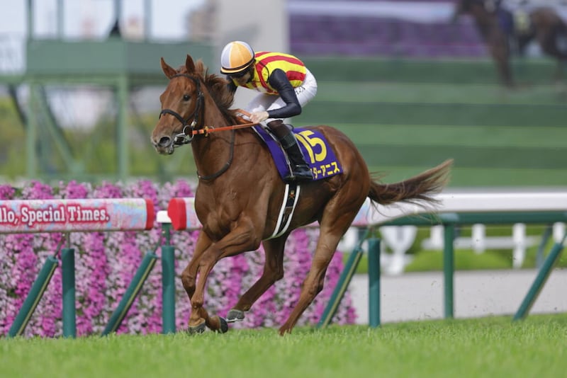 WIN5は1144万円超の払戻し…桜花賞はスターアニスが完勝