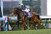 【皐月賞登録馬】2歳王者・カヴァレリッツォなど21頭