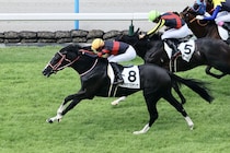 【中山GJ】4億円ホース・ホウオウプロサンゲなど12頭