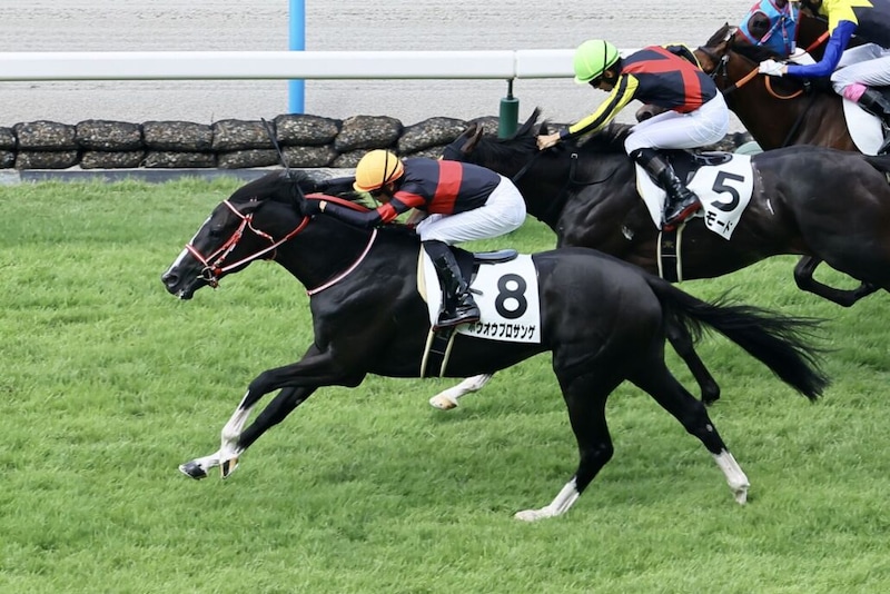 【中山GJ】4億円ホース・ホウオウプロサンゲなど12頭