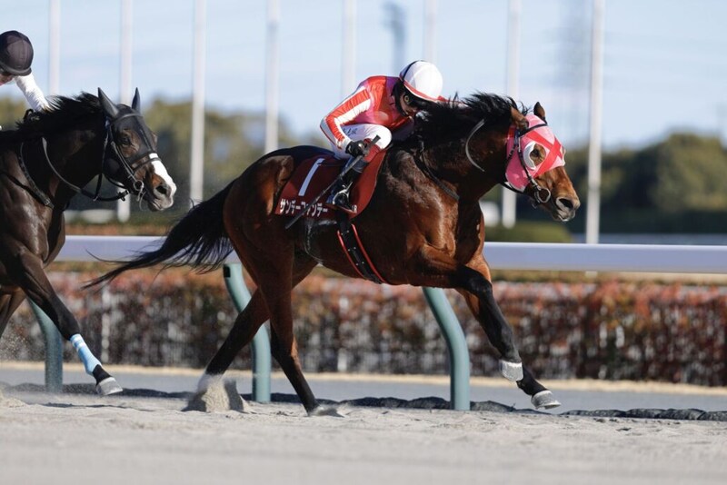 【アンタレスS登録馬】サンデーファンデーなど21頭