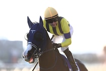 【香港チャンピオンズデー】JRAが馬券発売を発表…マスカレードボールら日本勢参戦、G1・3競走に注目集まる