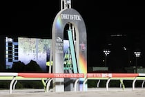 【東京スプリント】ドラゴンウェルズが鮮やか逃げ切りV…2着は大井のティントレット