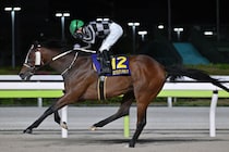 【大井・ブリリアントC】リベイクフルシティが完勝…和田「抜群の手応え」