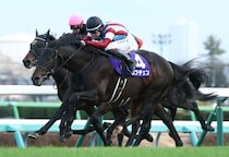 【皐月賞】ロブチェンは2枠4番…レーン騎乗カヴァレリッツォは最内枠へ